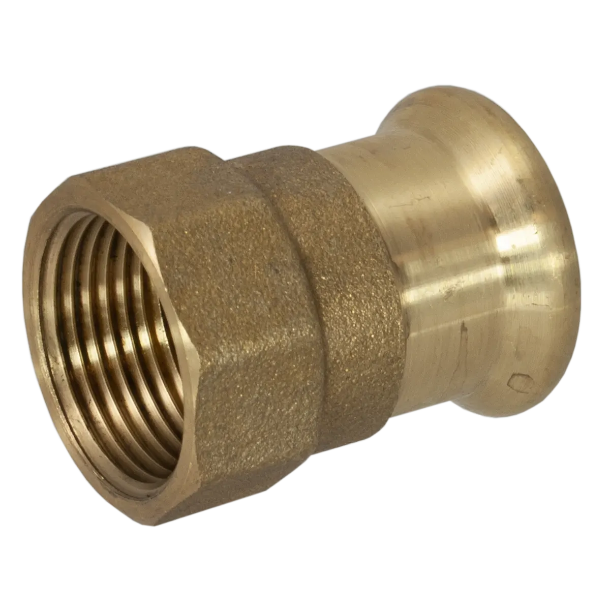 Pegasus M Profile Pressfit Coupler Female