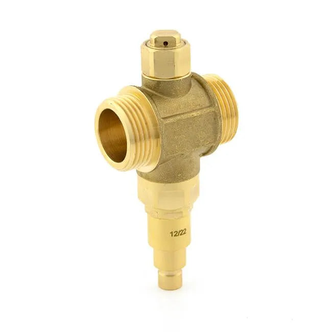 Inta Anti-freeze Valve - 1" BSP PM